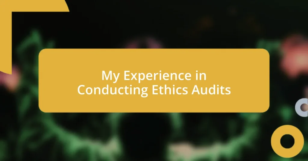 My Experience in Conducting Ethics Audits